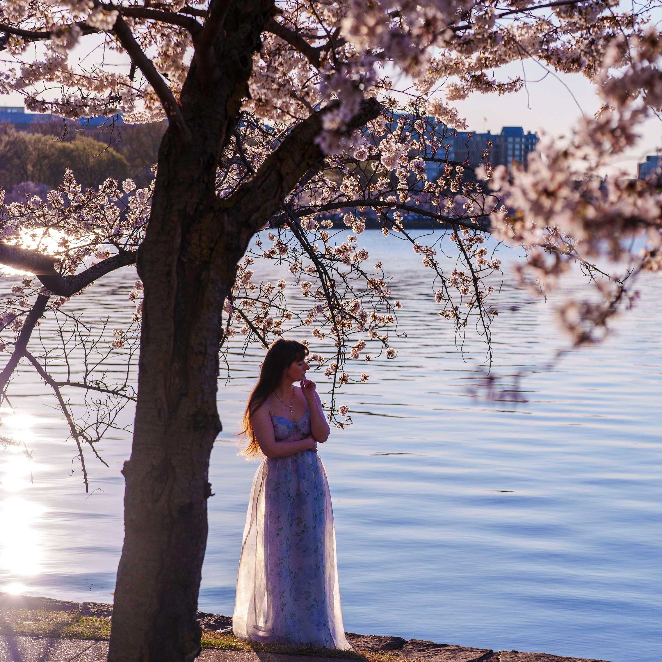 Girl Under Tree